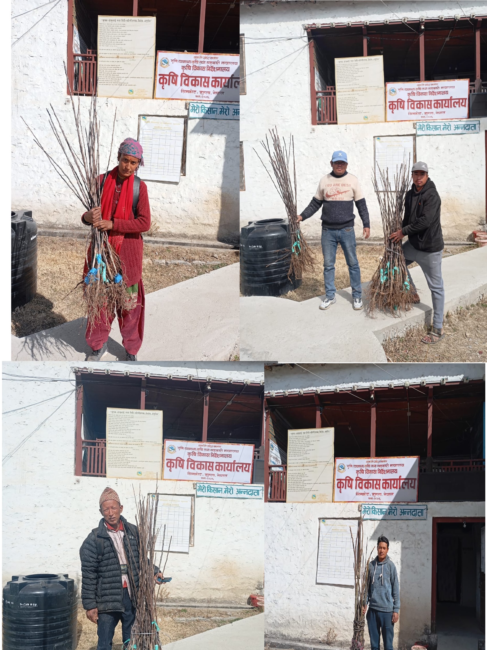 ओखर विरुवा वितरणका केहि झलकहरु